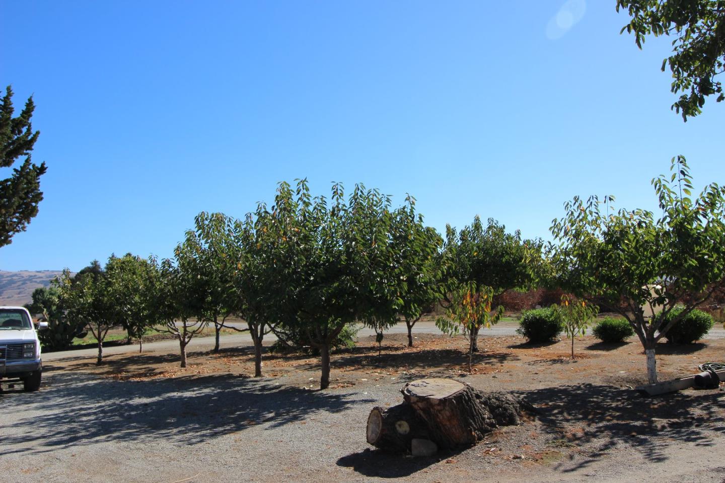 2025 Pacheco Pass HWY - Backyard