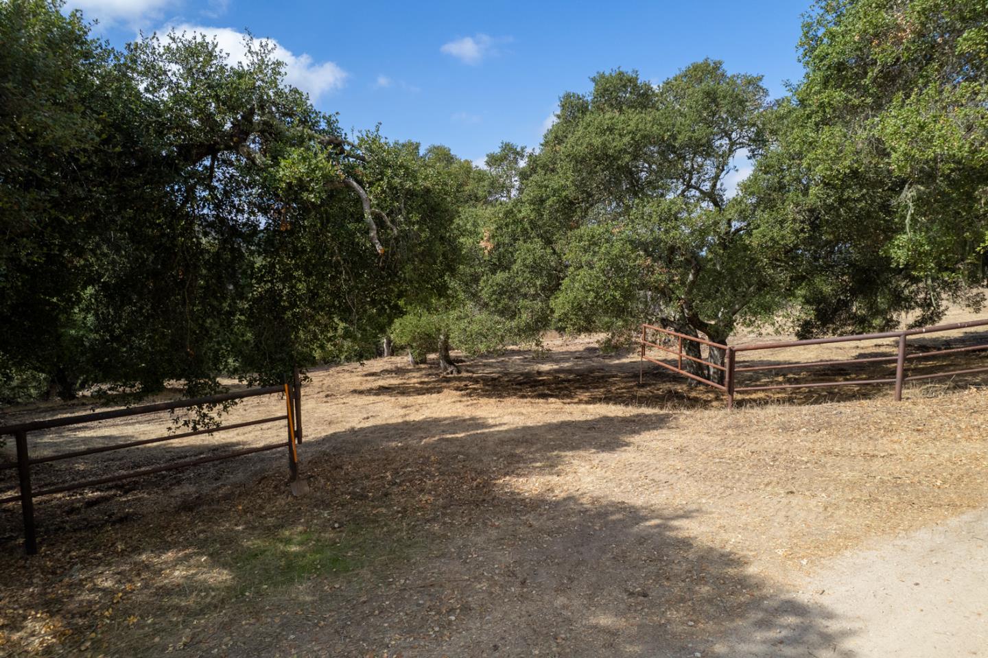 367 San Benancio - Backyard