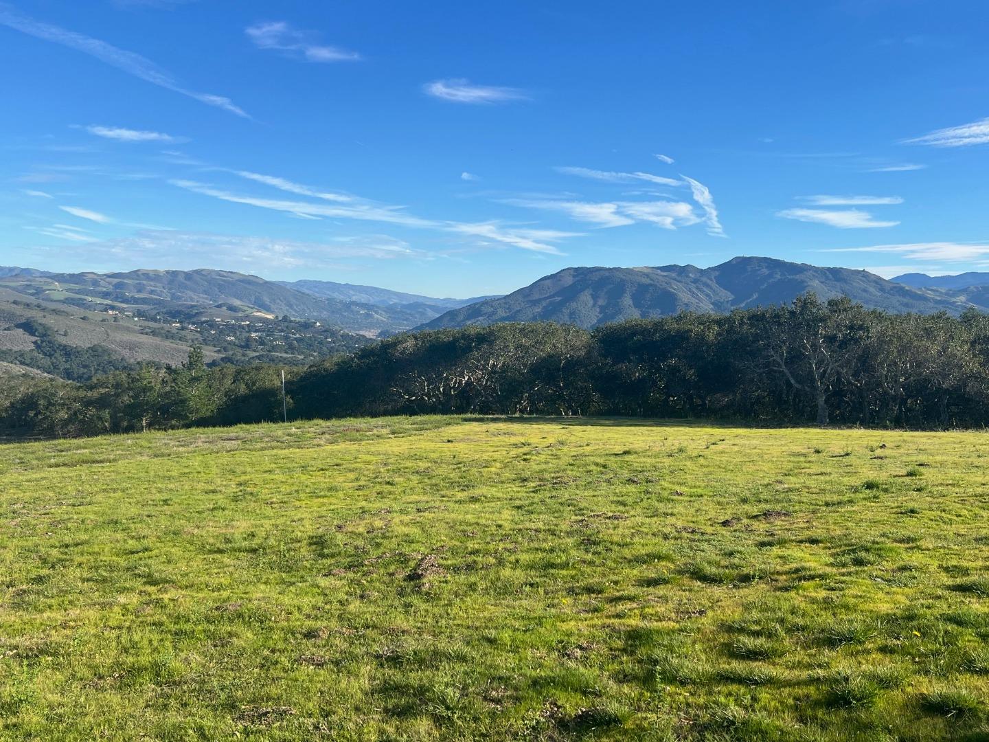 64 Marguerite (Tehama)