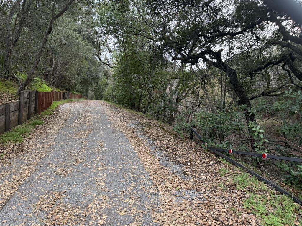 2100 Woods Lane - Backyard