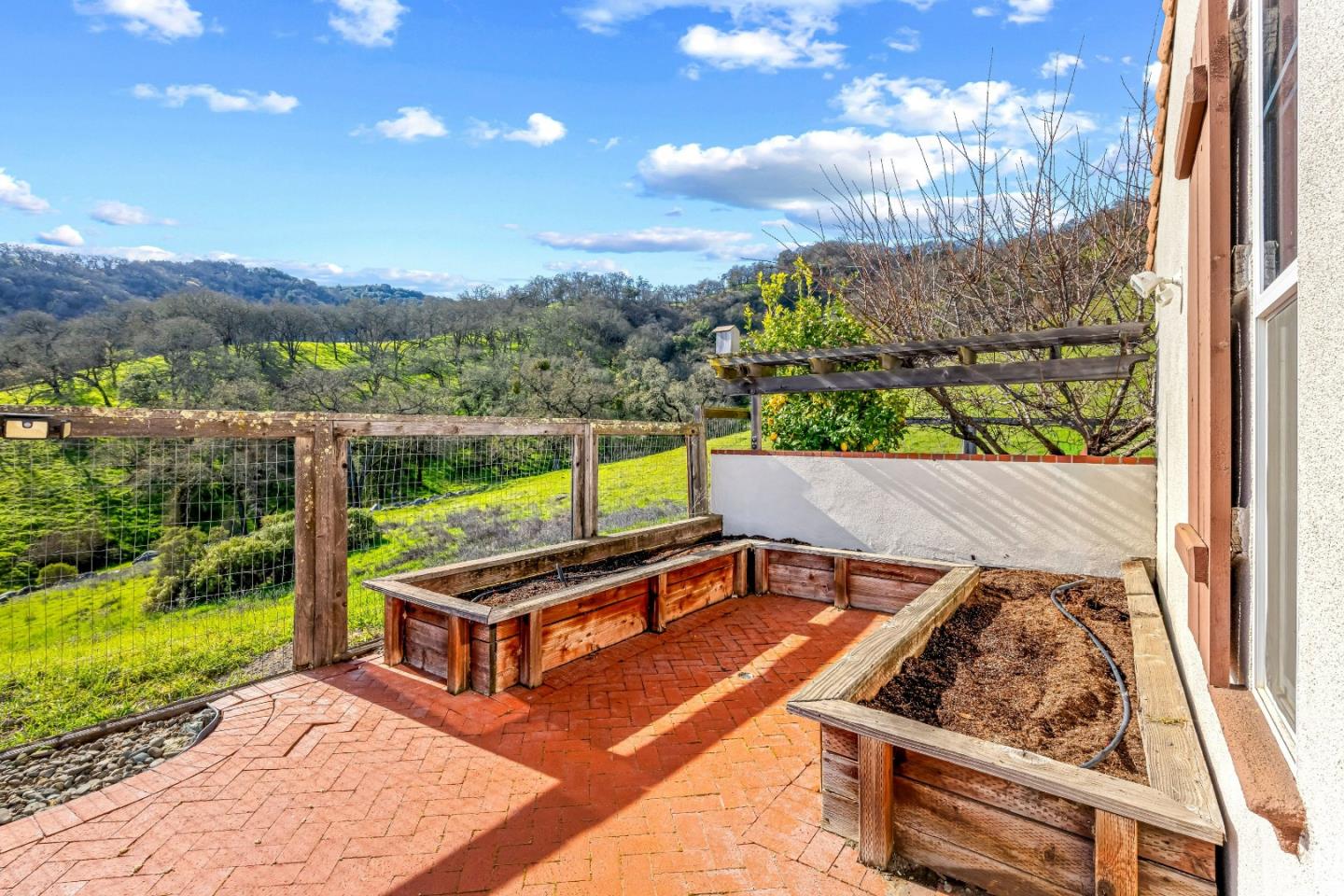 1190 Olympic CT - Backyard