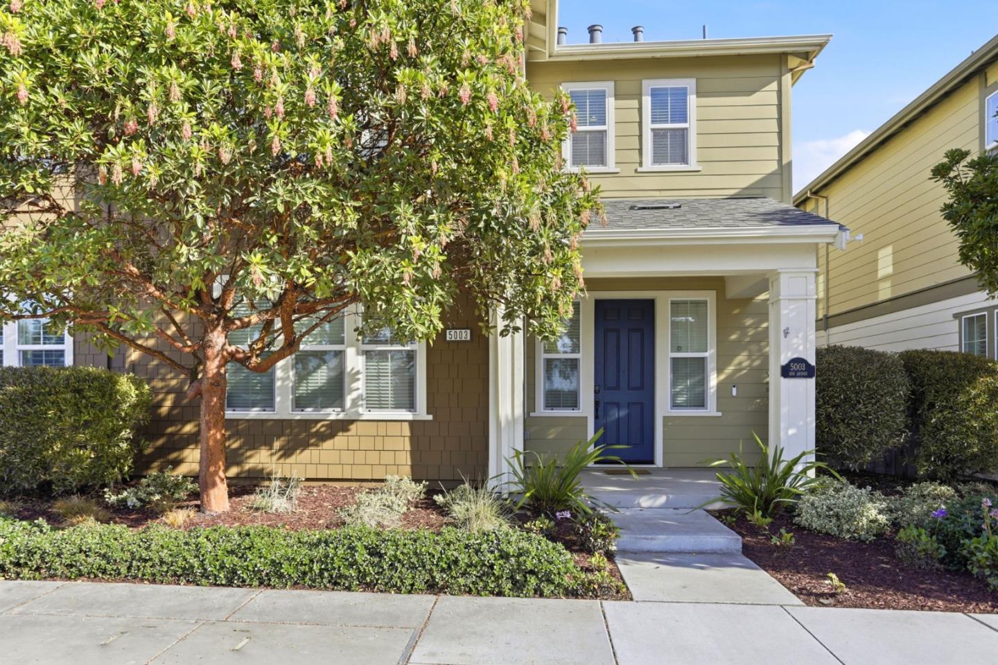 5003 3rd AVE