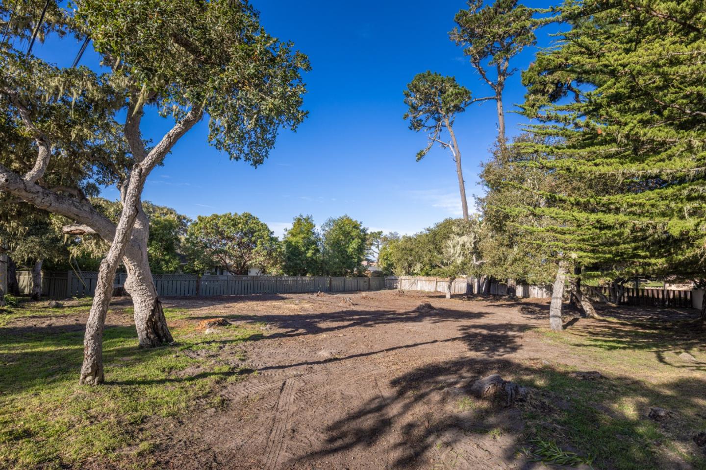 3118 Bird Rock RD - Backyard