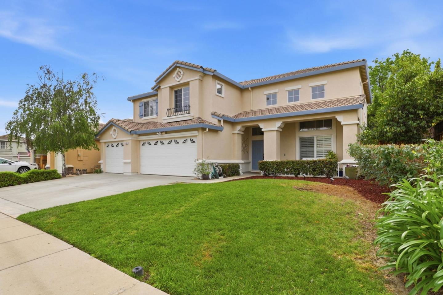 1510 Dovetail WAY - Backyard