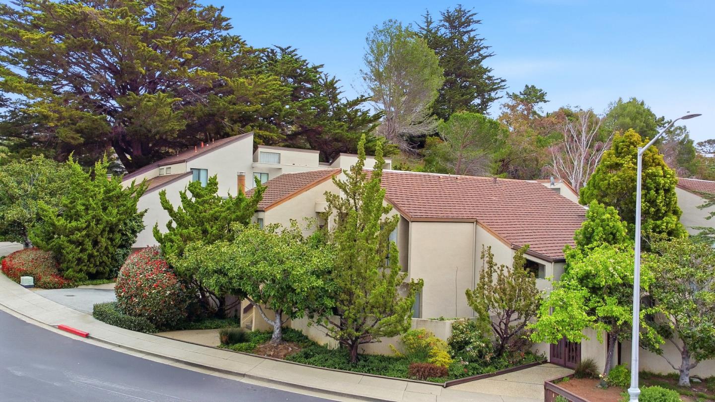 2001-2003 Parrott DR