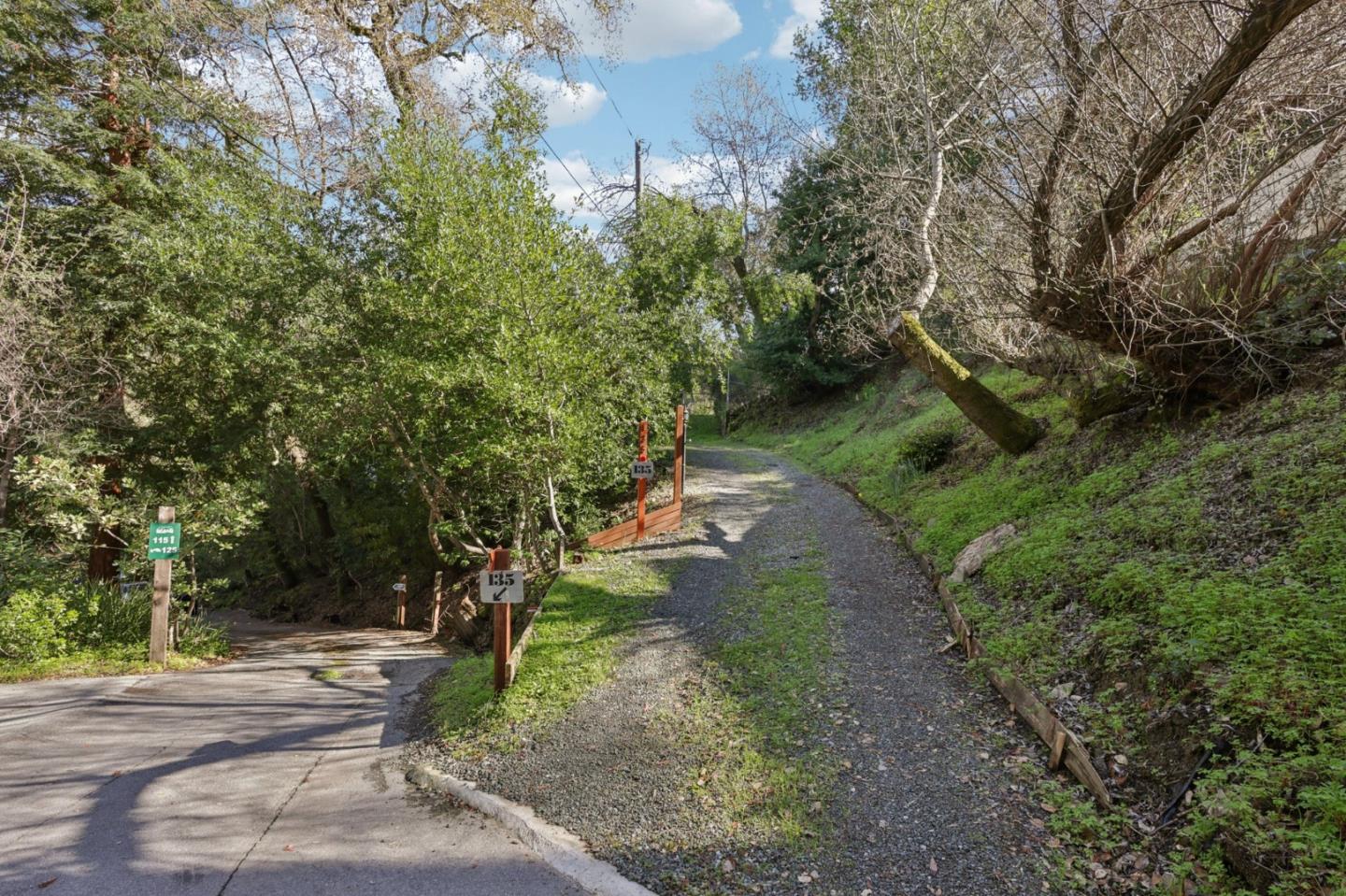 145 Foxwood Road RD - Backyard