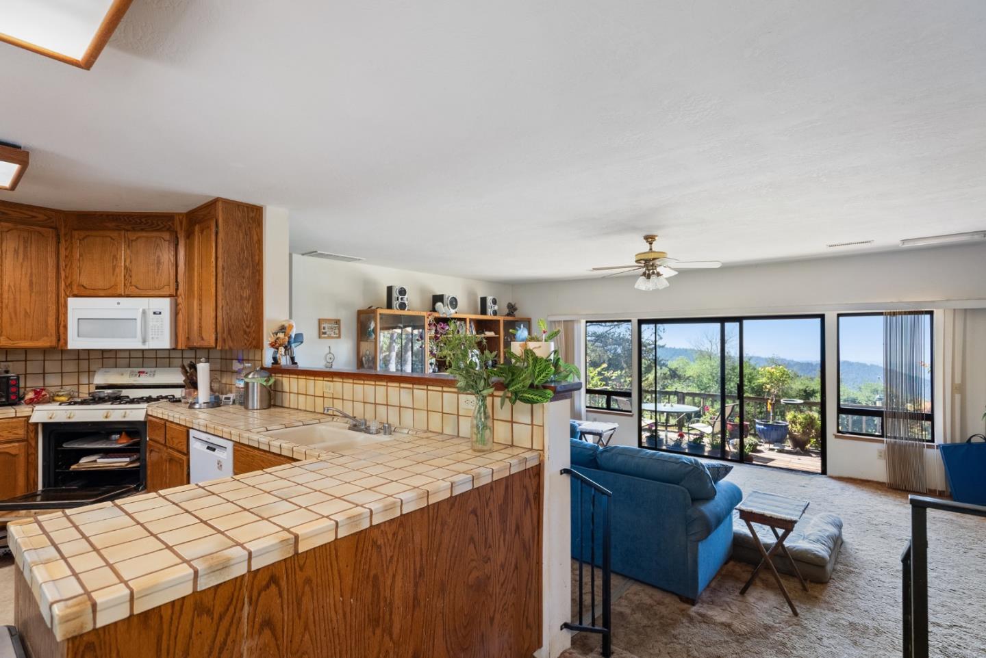 25967 Mar Vista CT - Backyard