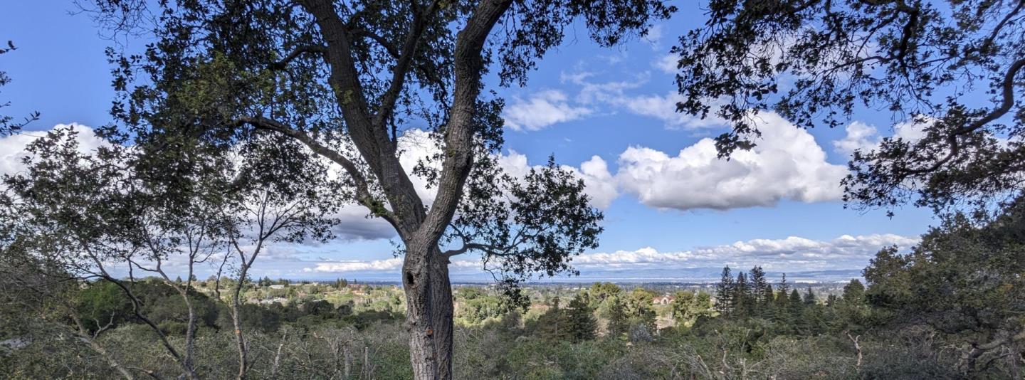 25564 Fernhill DR, Los Altos Hills