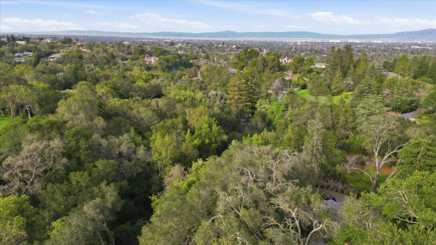 25564 Fernhill DR - Backyard
