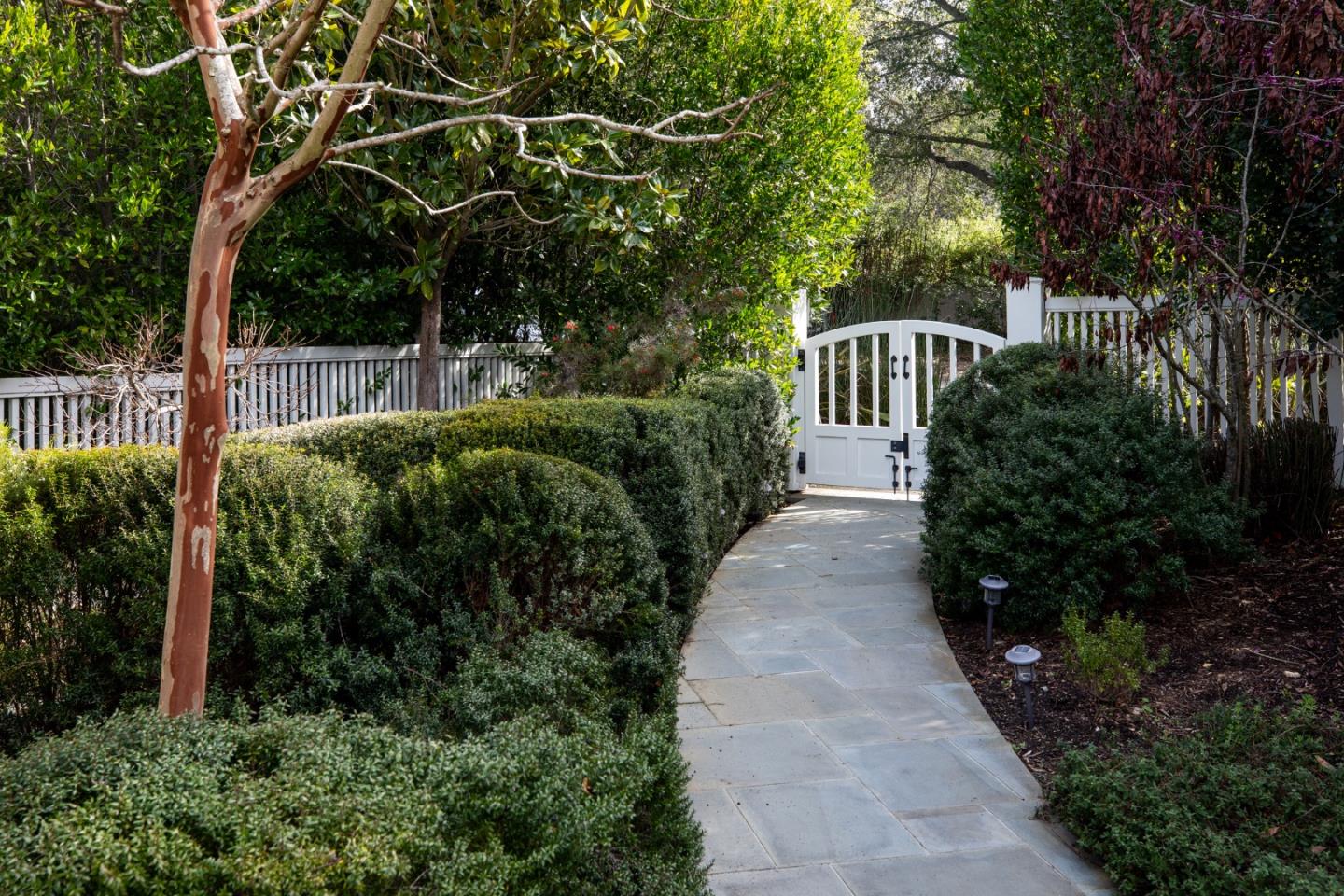 25501 Chapin RD - Backyard