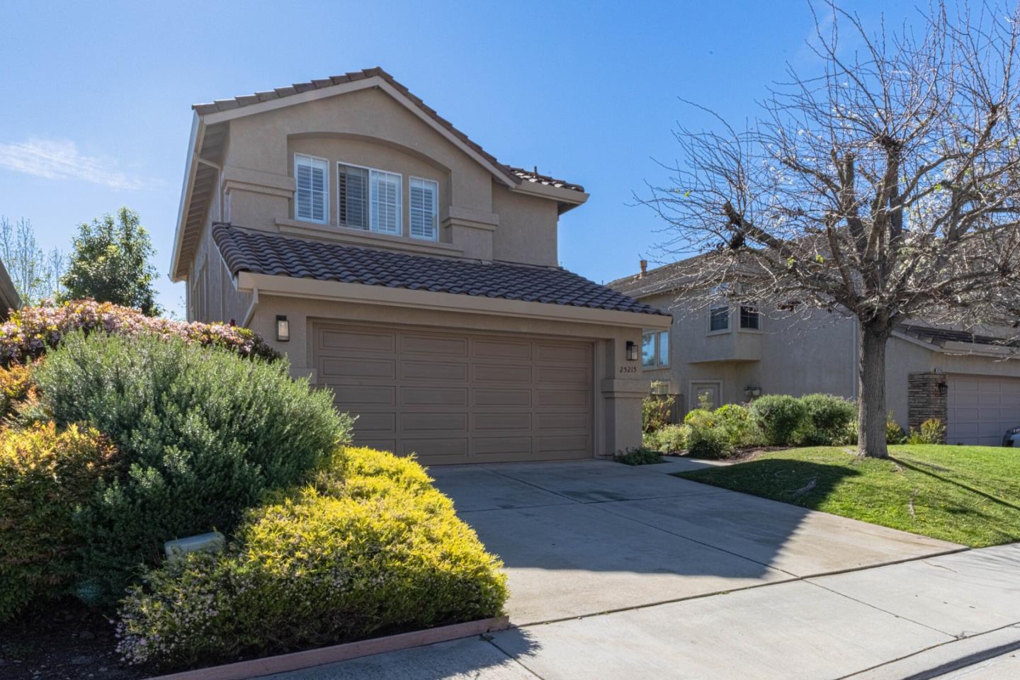 25215 Azalea CT