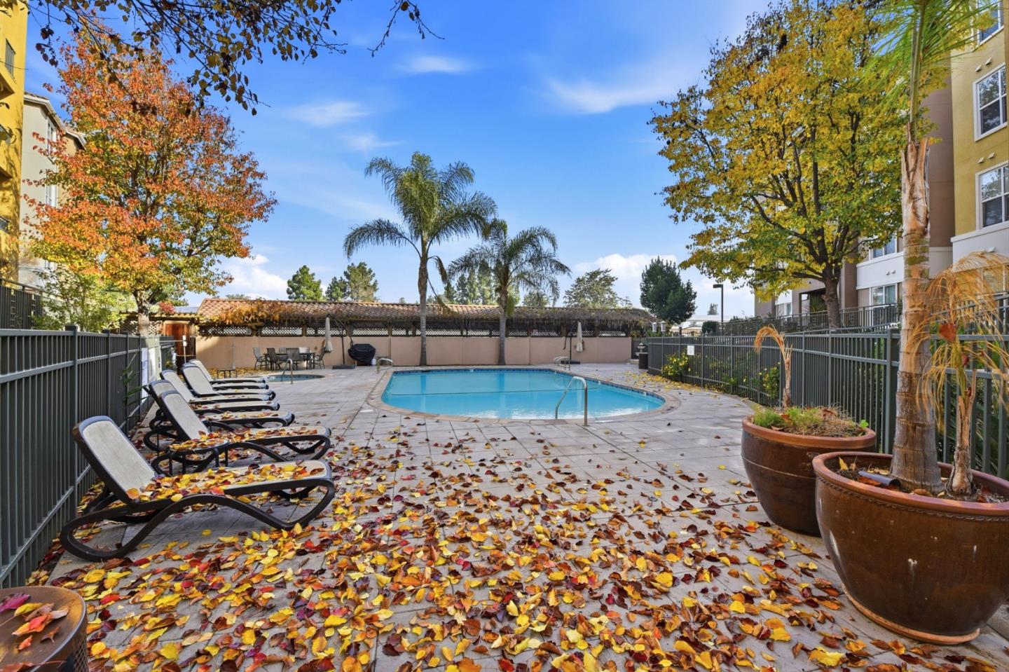1445 Fruitdale AVE 101 - Interior