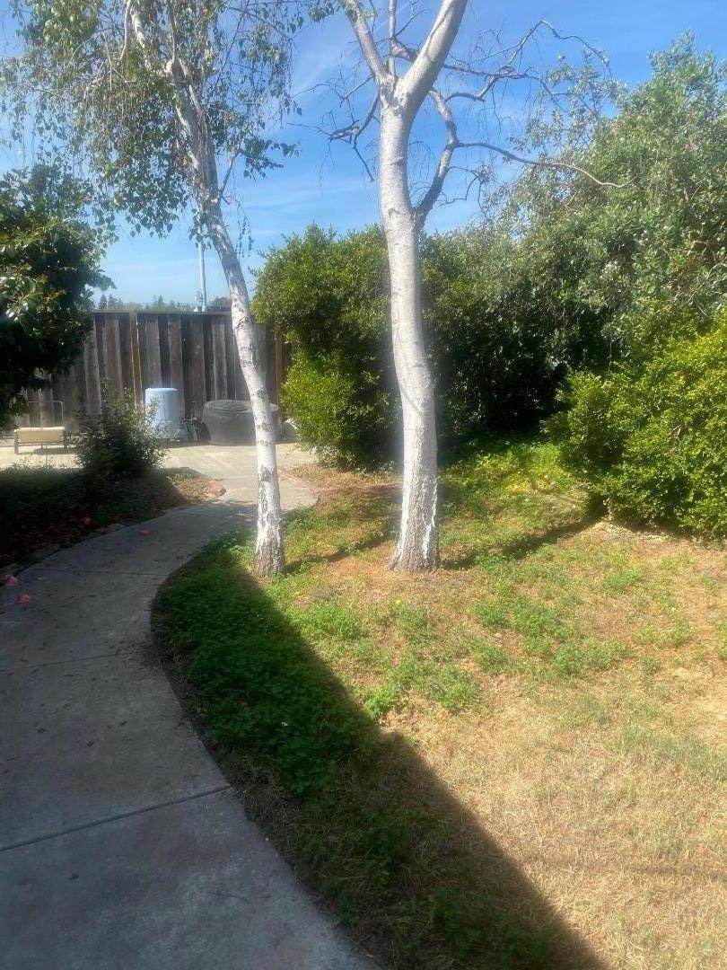 1601 Big Bend DR - Backyard