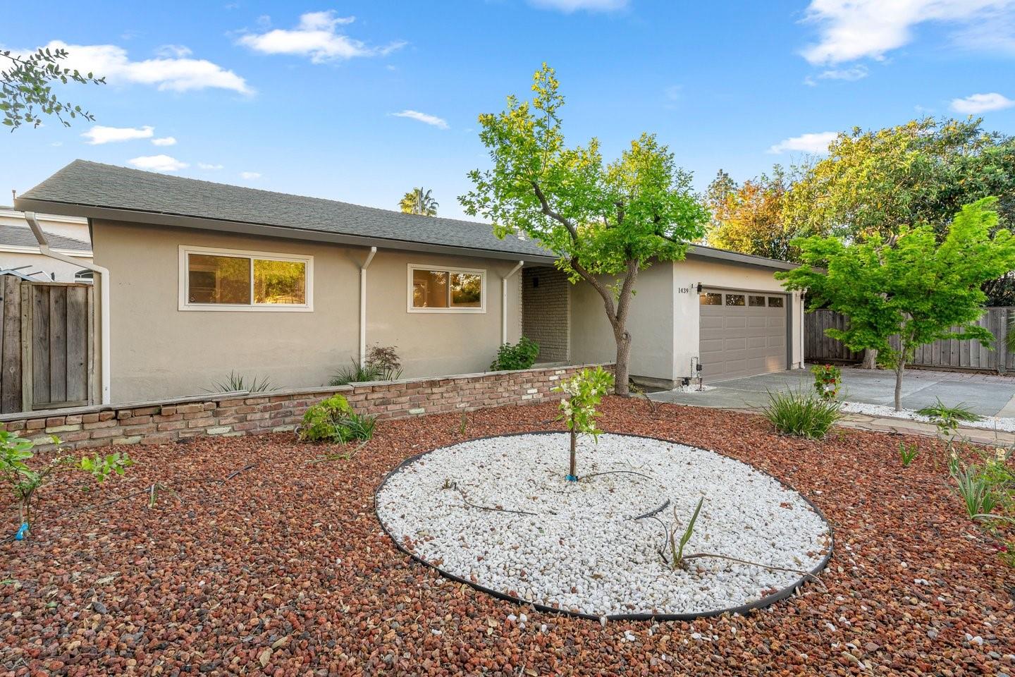 1439 Miller AVE - Backyard