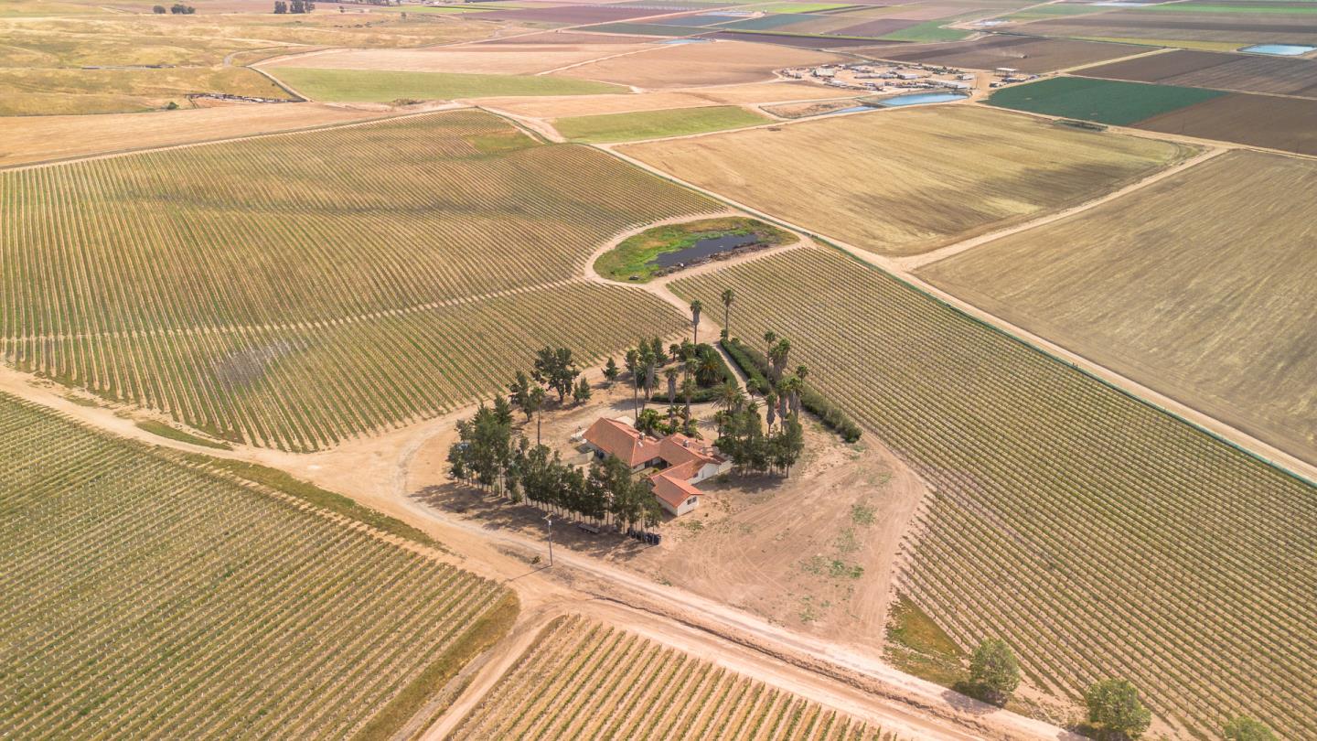 31021 Camphora RD - Backyard