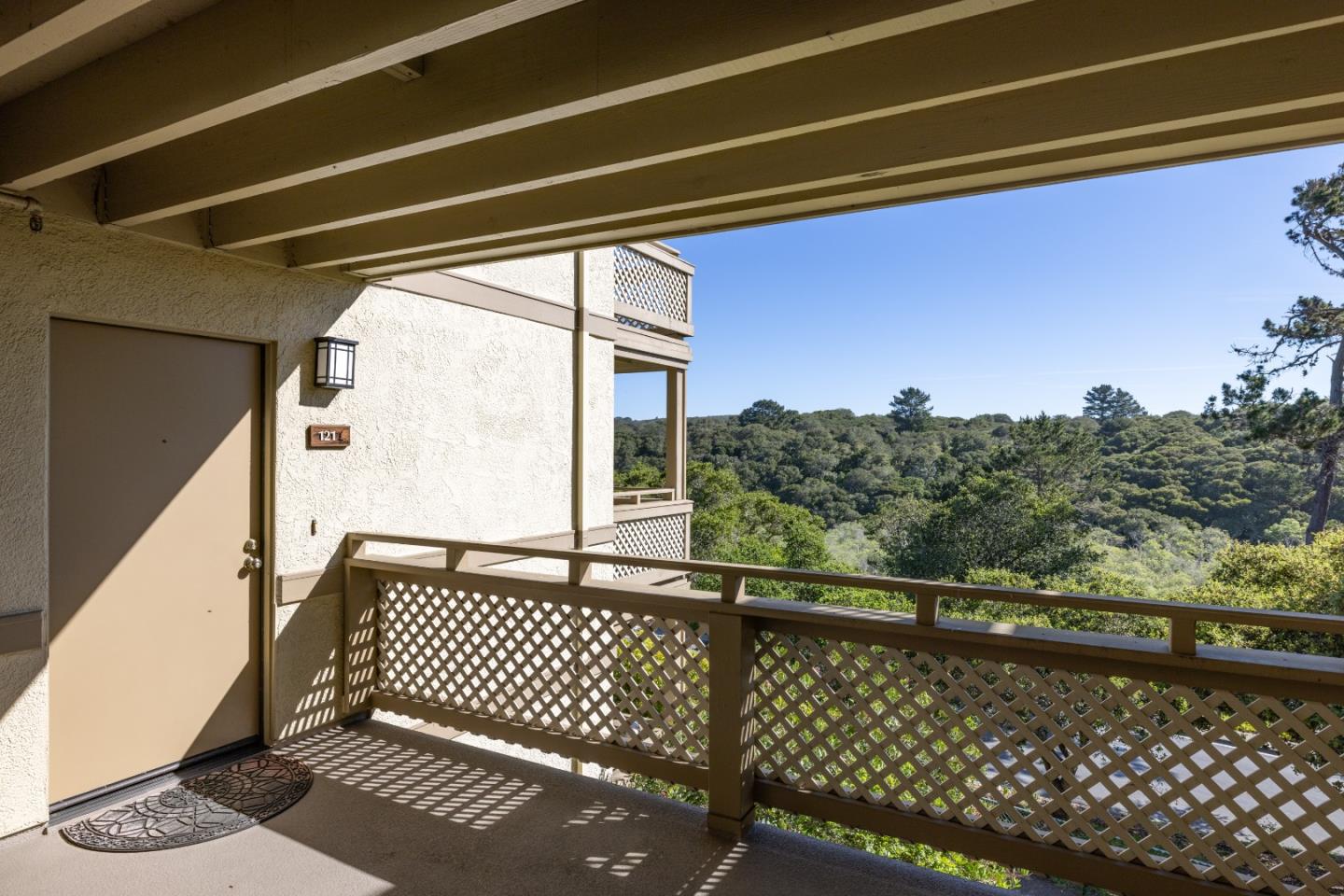 121 Quail Run CT - Interior