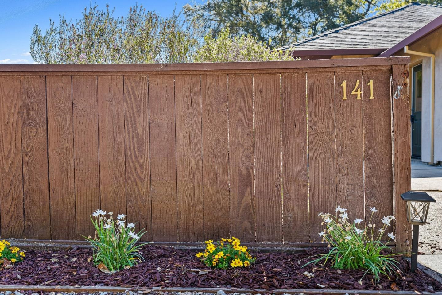 141 Whistler CT - Backyard