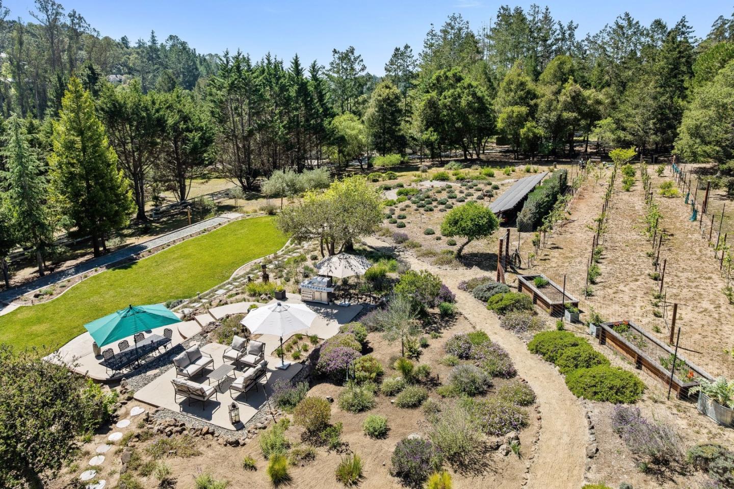 321 Pine Forest DR - Backyard