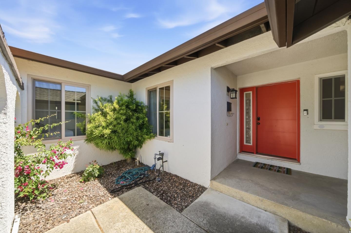 458 Pin Oak - Backyard