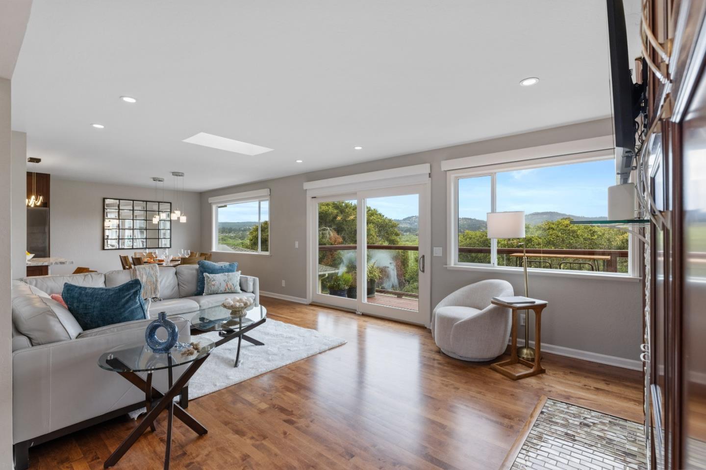 Ribera RD - Living area