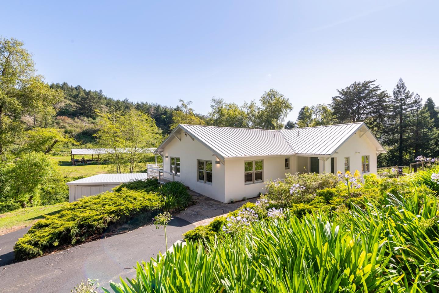 2570 Purisima Creek RD - Backyard