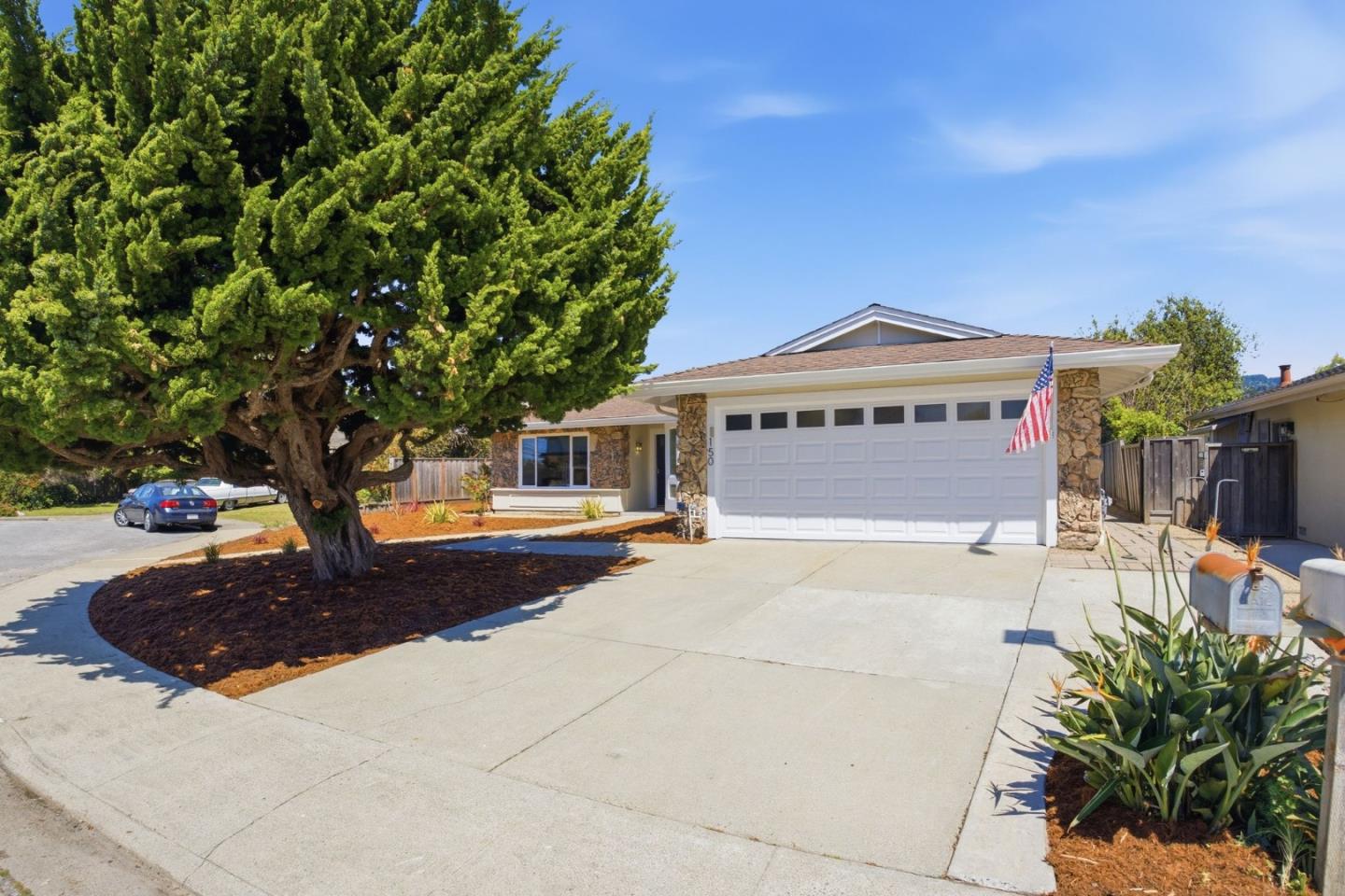 150 Tiller CT