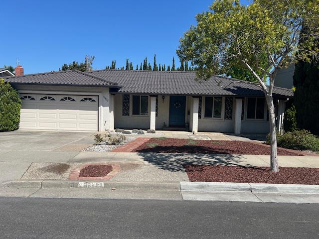 , Cupertino