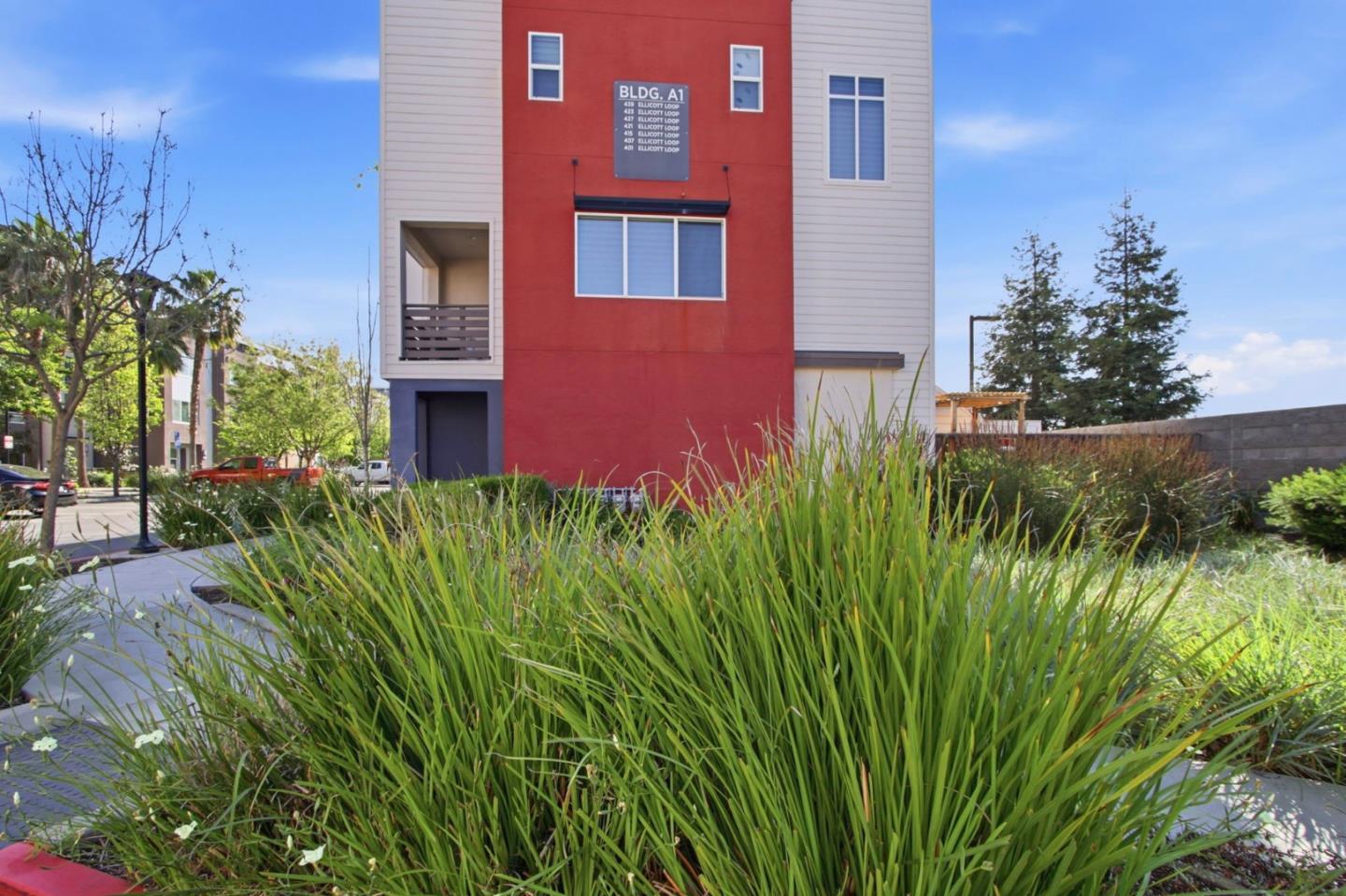 439 Ellicott LOOP - Backyard