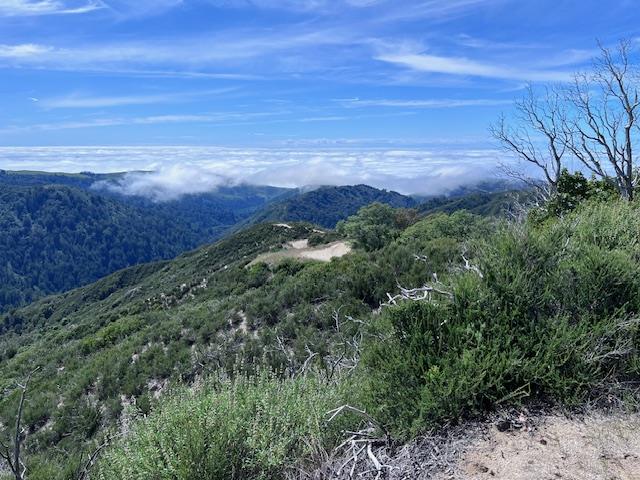 10 Long Ridge, Palo Colorado RD