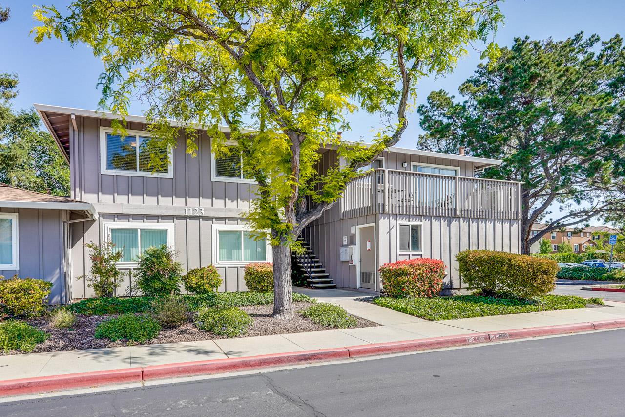 1123 Reed AVE C - Interior