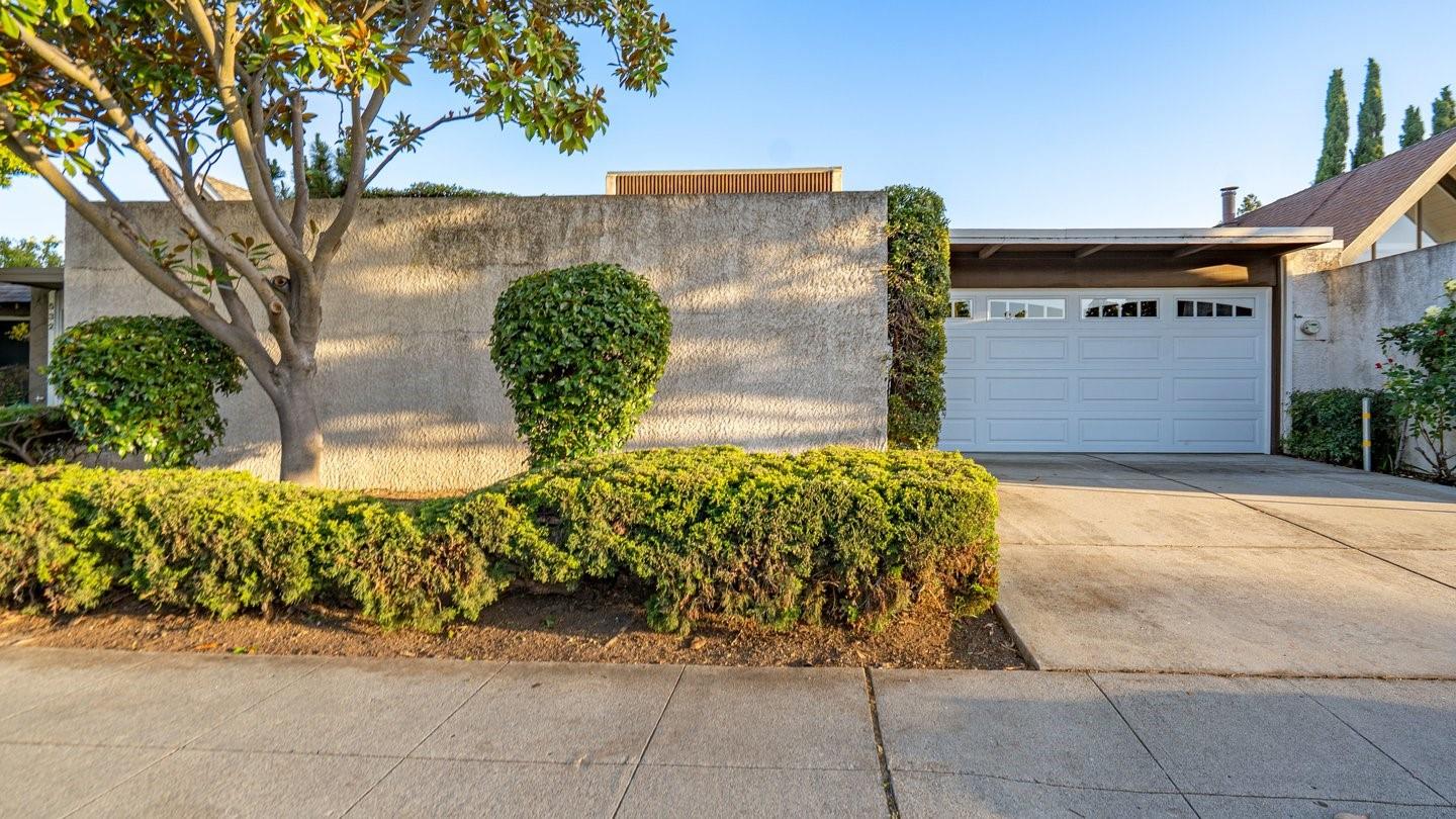 536 Cascade DR - Backyard