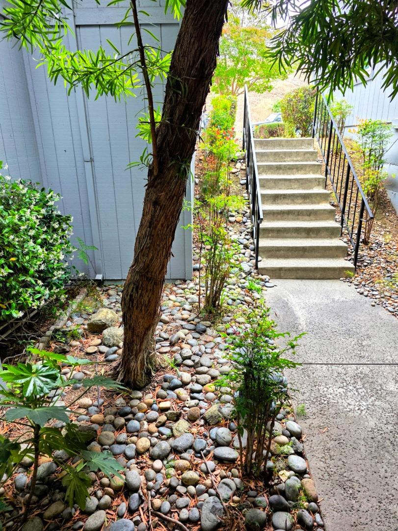 7464 Tulare Hill LN - Backyard