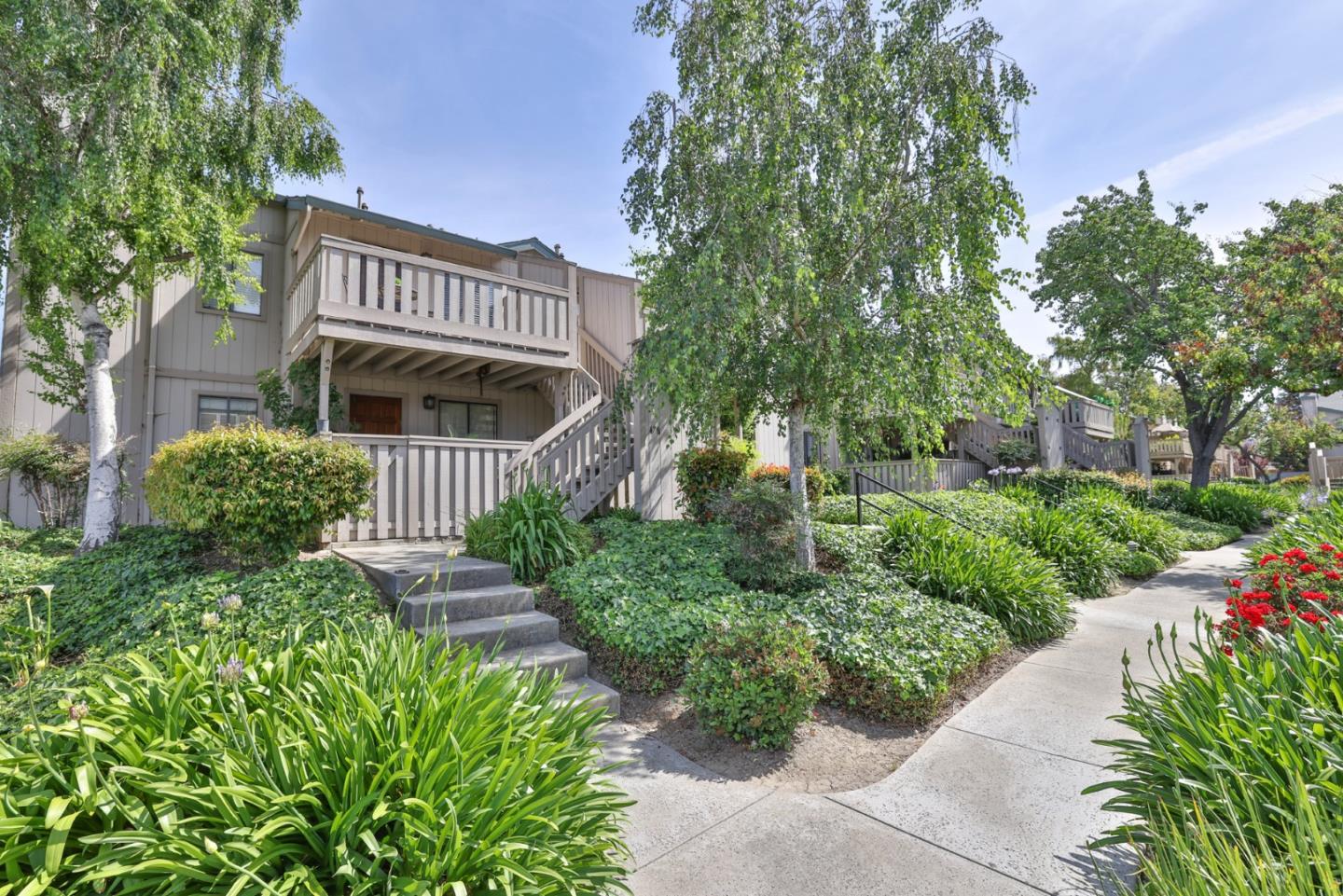 480 Coyote Creek CIR