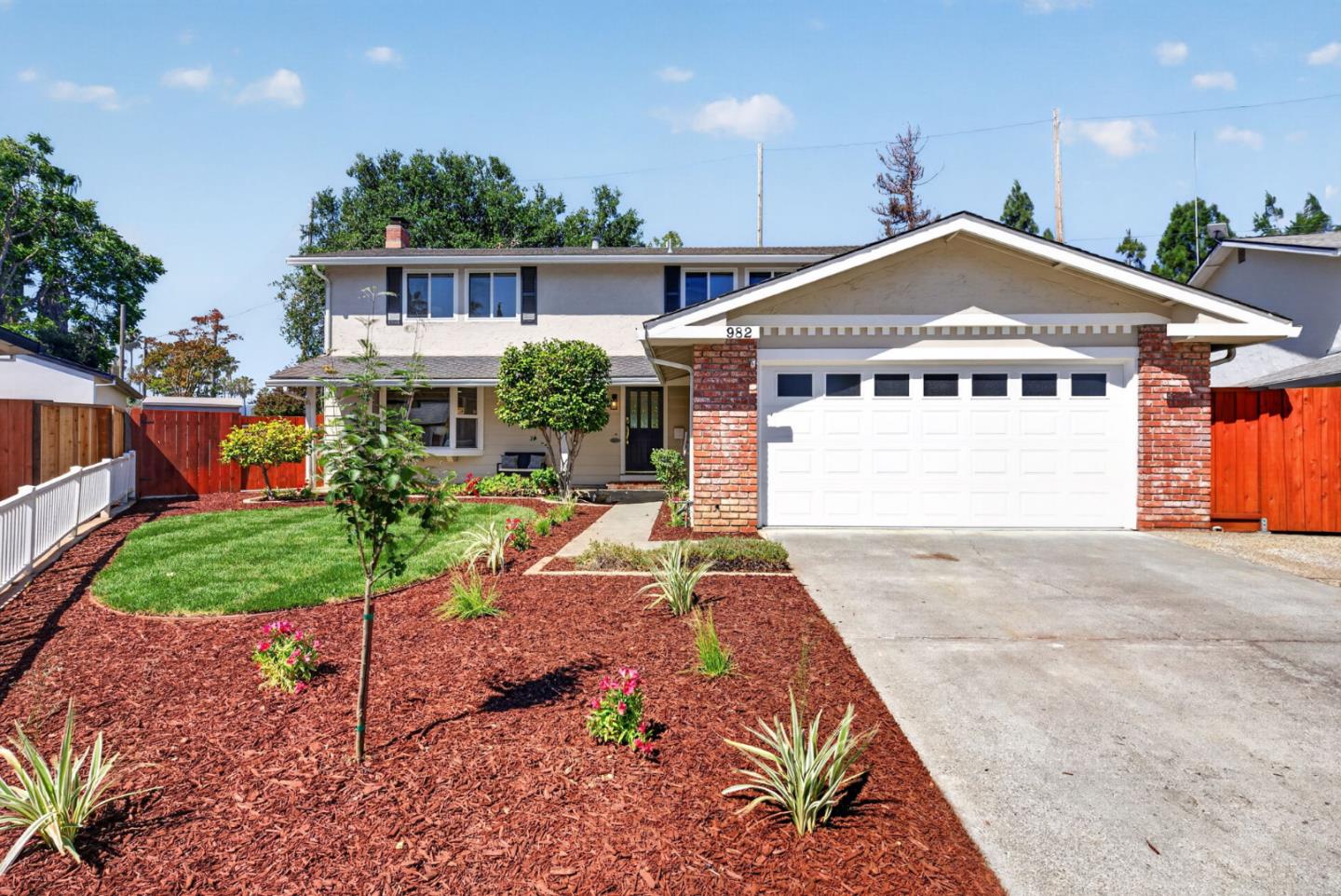 982 Starflower CT