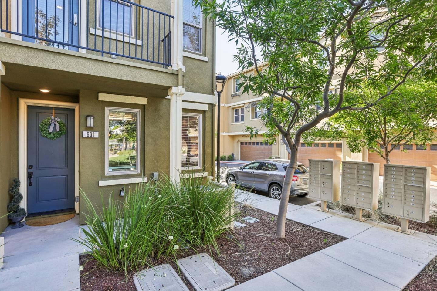 601 Cinnamon CIR - Backyard