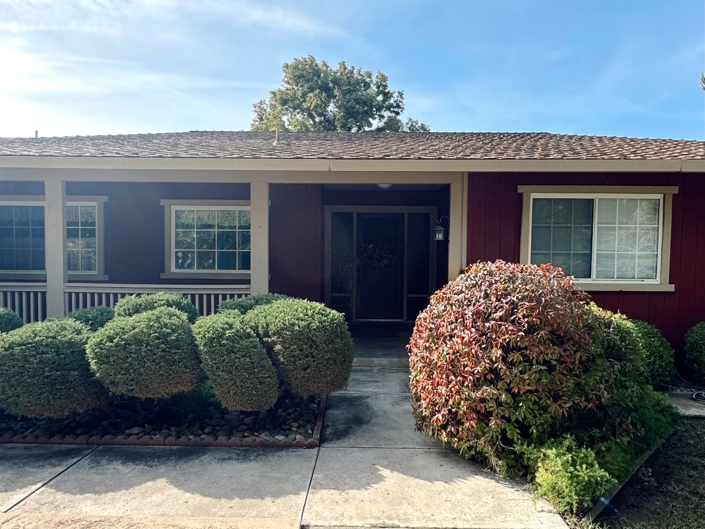 Angelo LN, Gilroy
