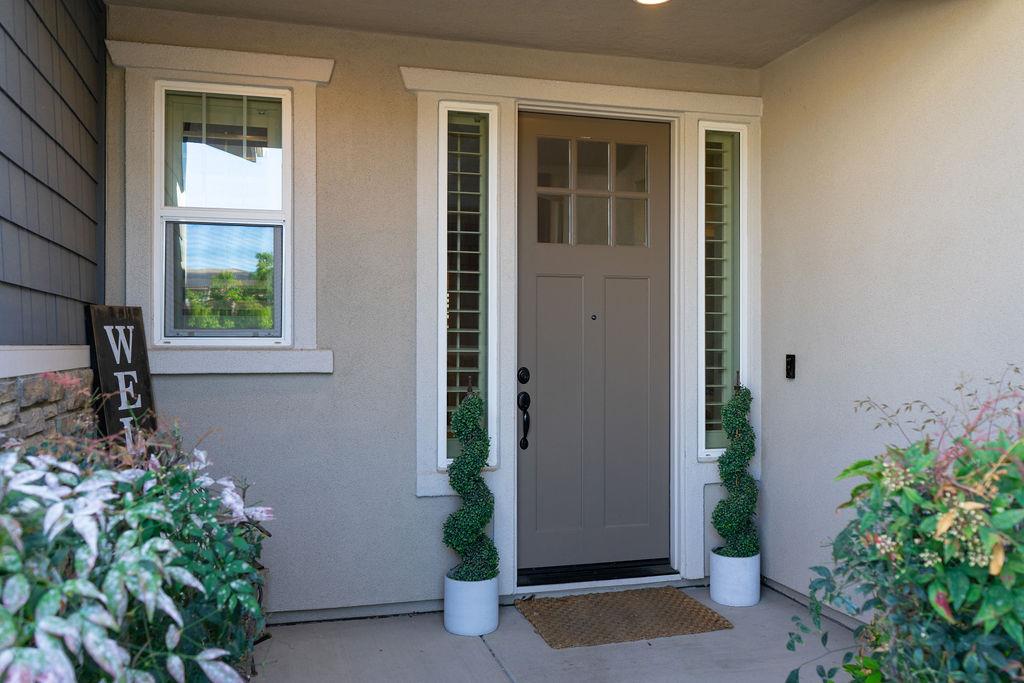936 Jaguar PL - Backyard