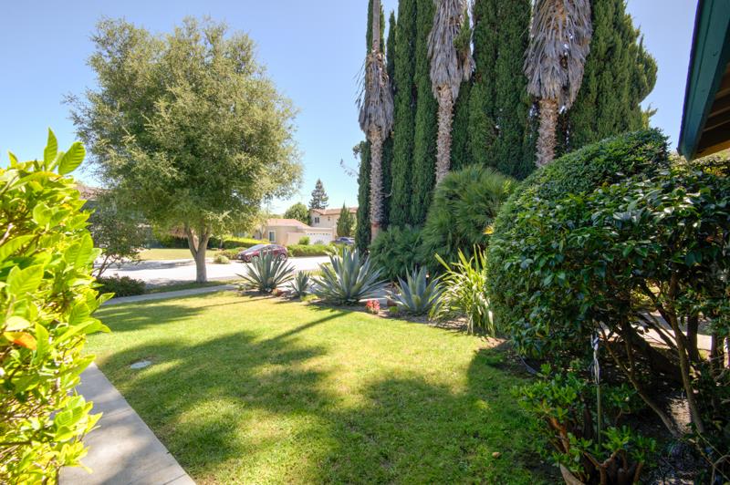 1441 Goldenlake RD - Backyard